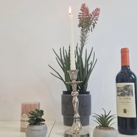 Sunlight Duplex Boliches アパート *